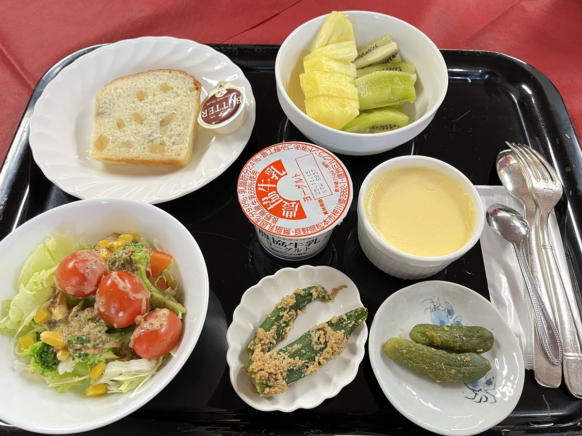 日本追楓趣（3）行程簡述（二）