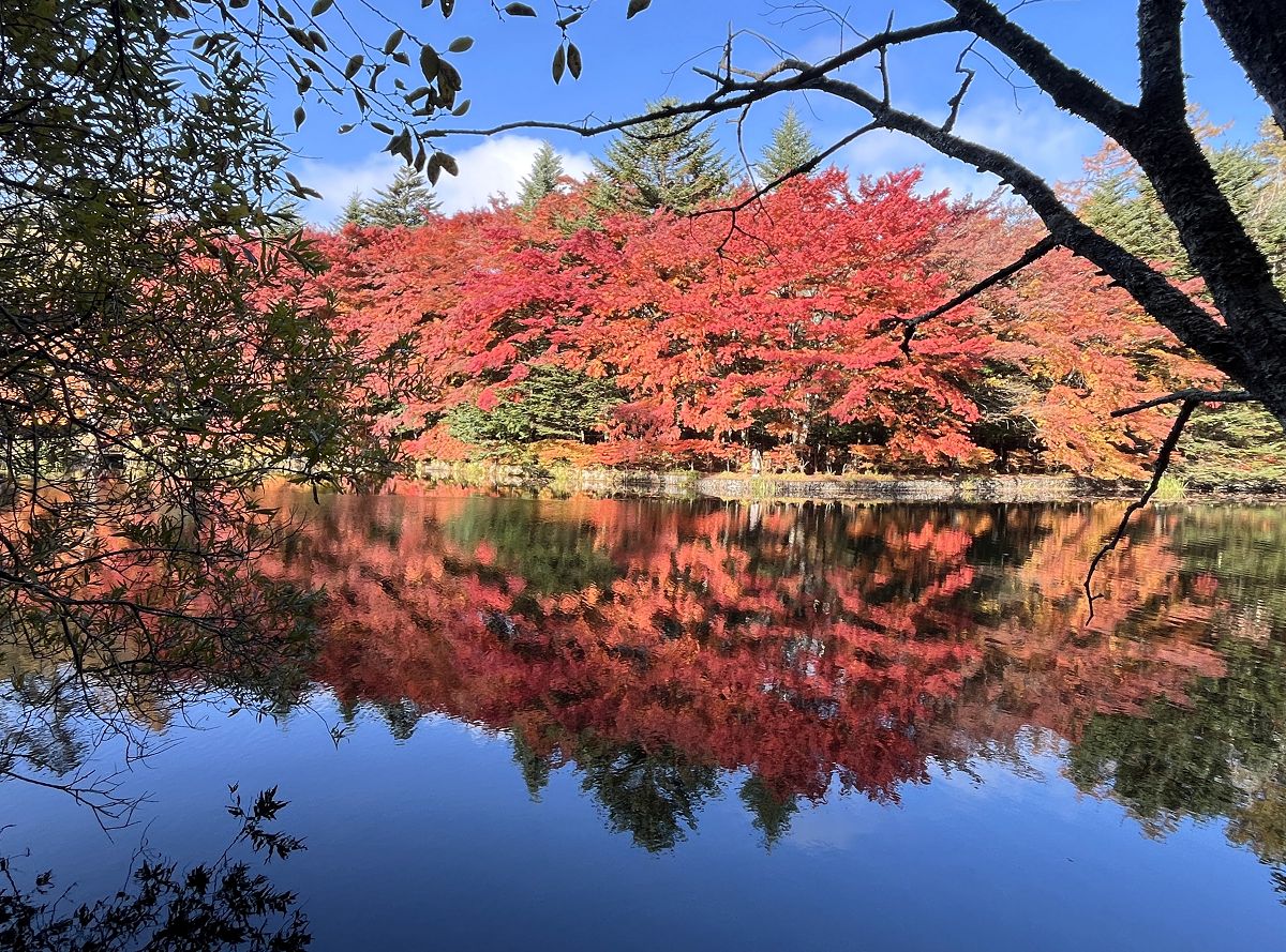 日本追楓趣（3）行程簡述（二）