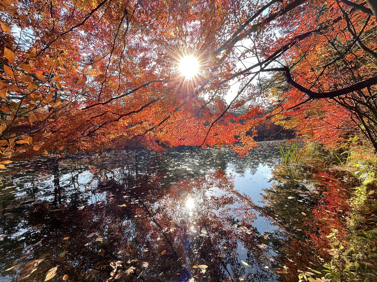 日本追楓趣(3)行程簡述(二) - 第21張圖 日本追楓趣(3)行程簡述(二)