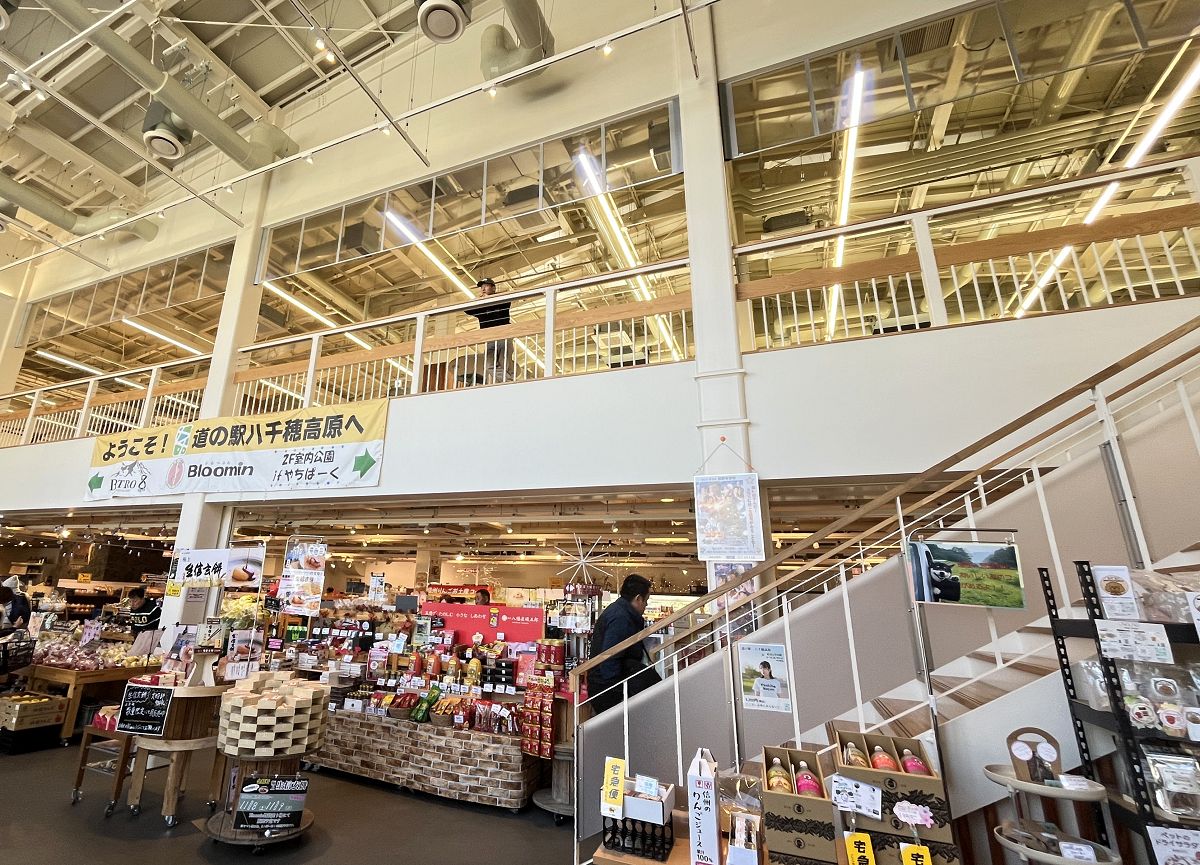 日本追楓趣（3）行程簡述（二）