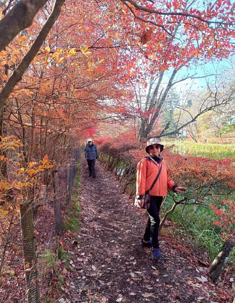 日本追楓趣(3)行程簡述(二) - 第22張圖 日本追楓趣(3)行程簡述(二)