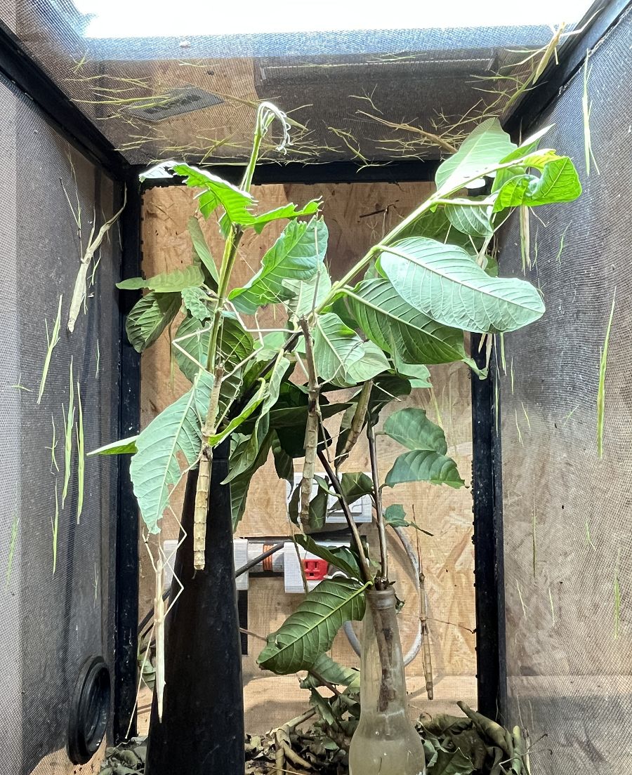 「自然圈農場」露營趣 - 第56張圖