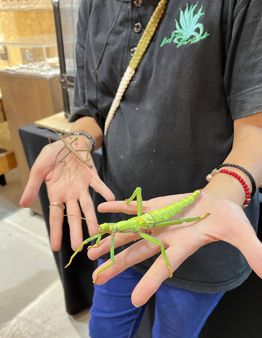 「自然圈農場」露營趣 - 第57張圖