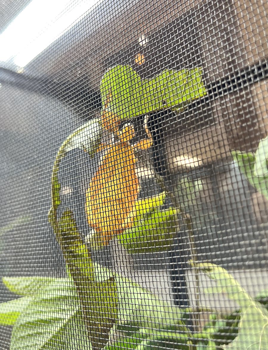 「自然圈農場」露營趣 - 第58張圖