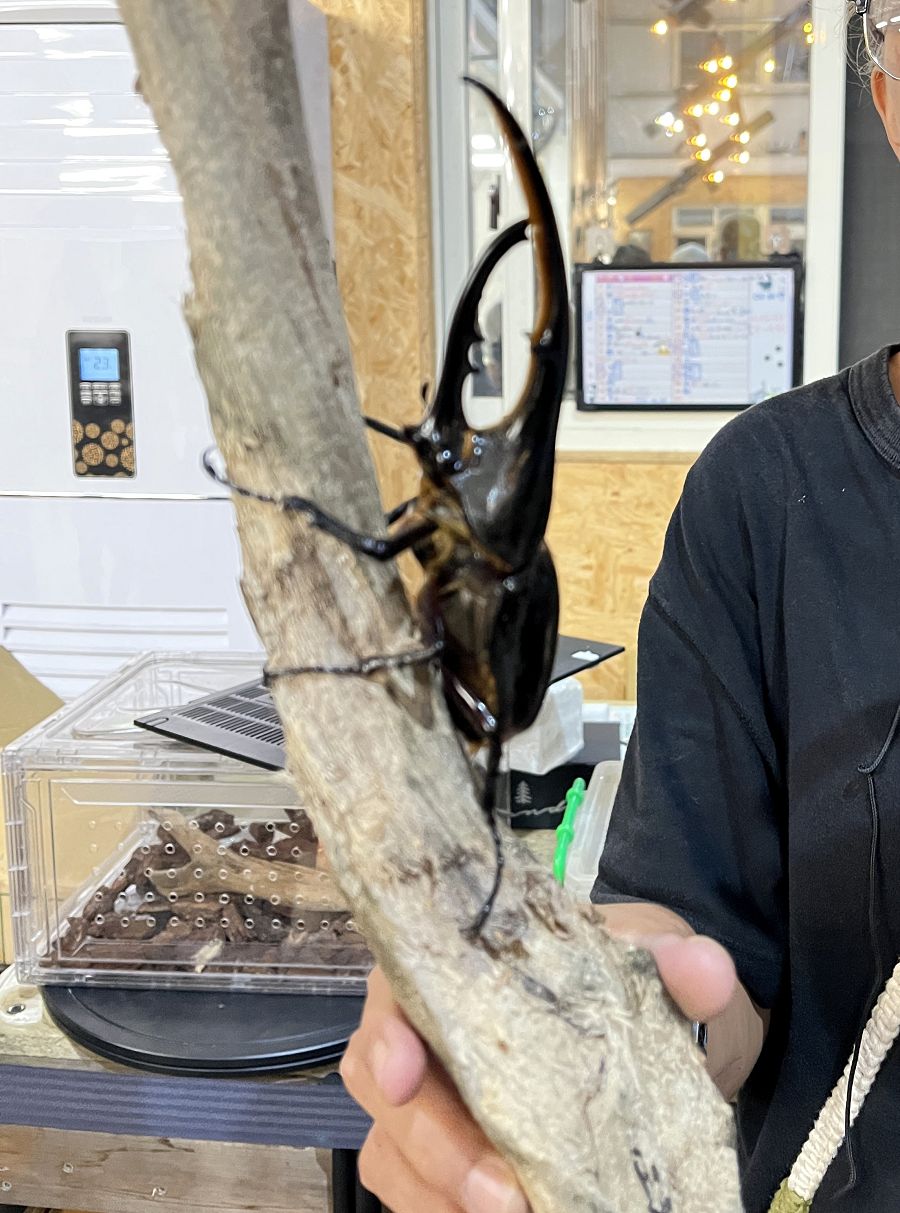 「自然圈農場」露營趣 - 第61張圖