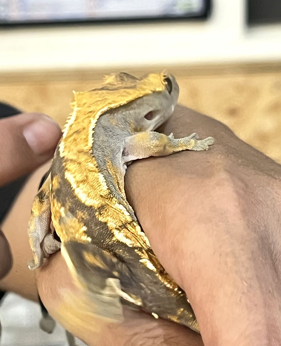 「自然圈農場」露營趣 - 第60張圖