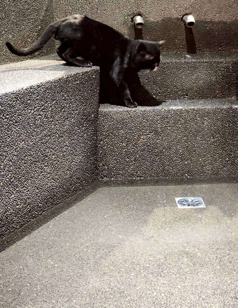 「自然圈農場」露營趣 - 第40張圖