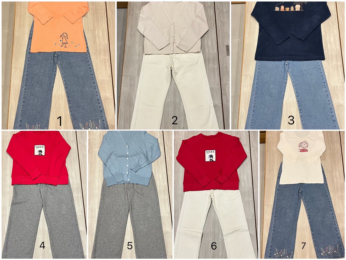 日本追楓趣（4）啟程到東京