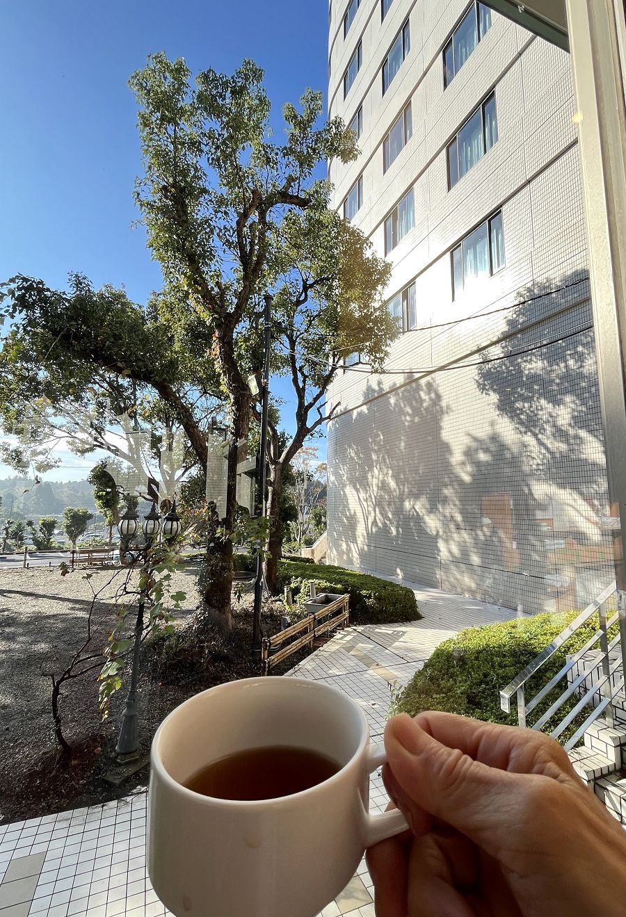 日本追楓趣(6)HOTEL MYSTAYS 成田精品酒店 - 第42張圖 日本追楓趣(6)HOTEL MYSTAYS 成田精品酒店