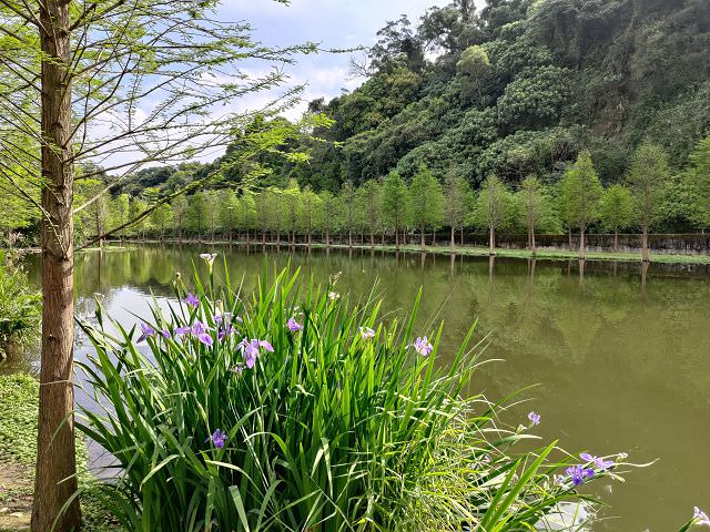 「開心家族」大溪漫遊趣 - 第21張圖 「開心家族」大溪漫遊趣