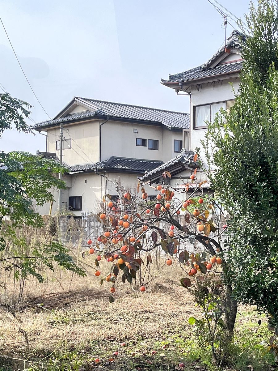 日本追楓趣(7)前往袋田瀑布 - 第15張圖 日本追楓趣(7)前往袋田瀑布