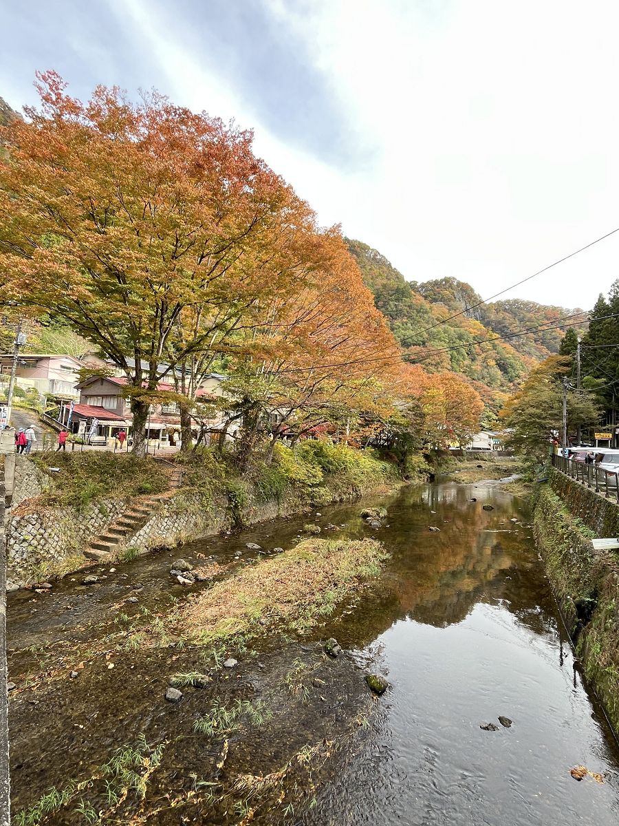 日本追楓趣（8）袋田瀑布