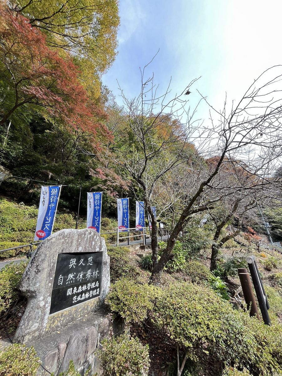 日本追楓趣（8）袋田瀑布