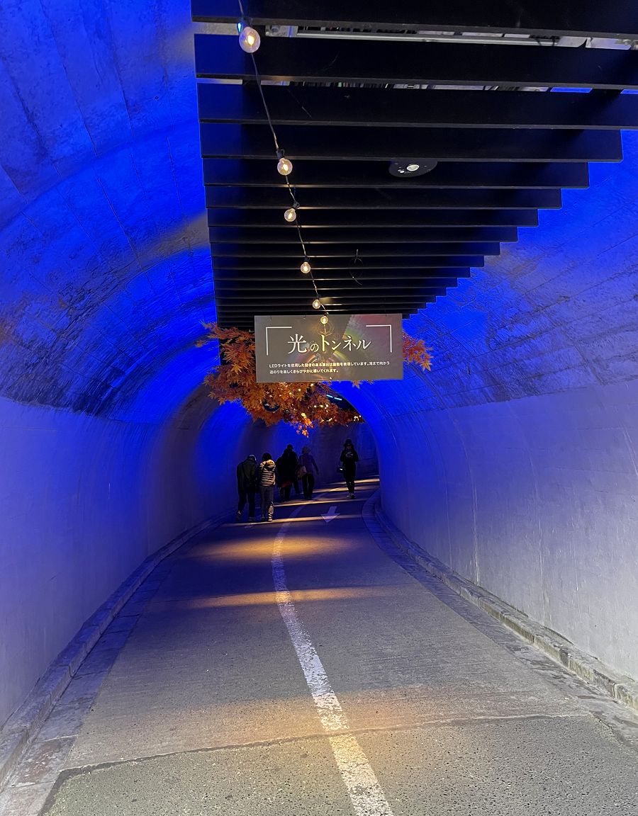 日本追楓趣（8）袋田瀑布