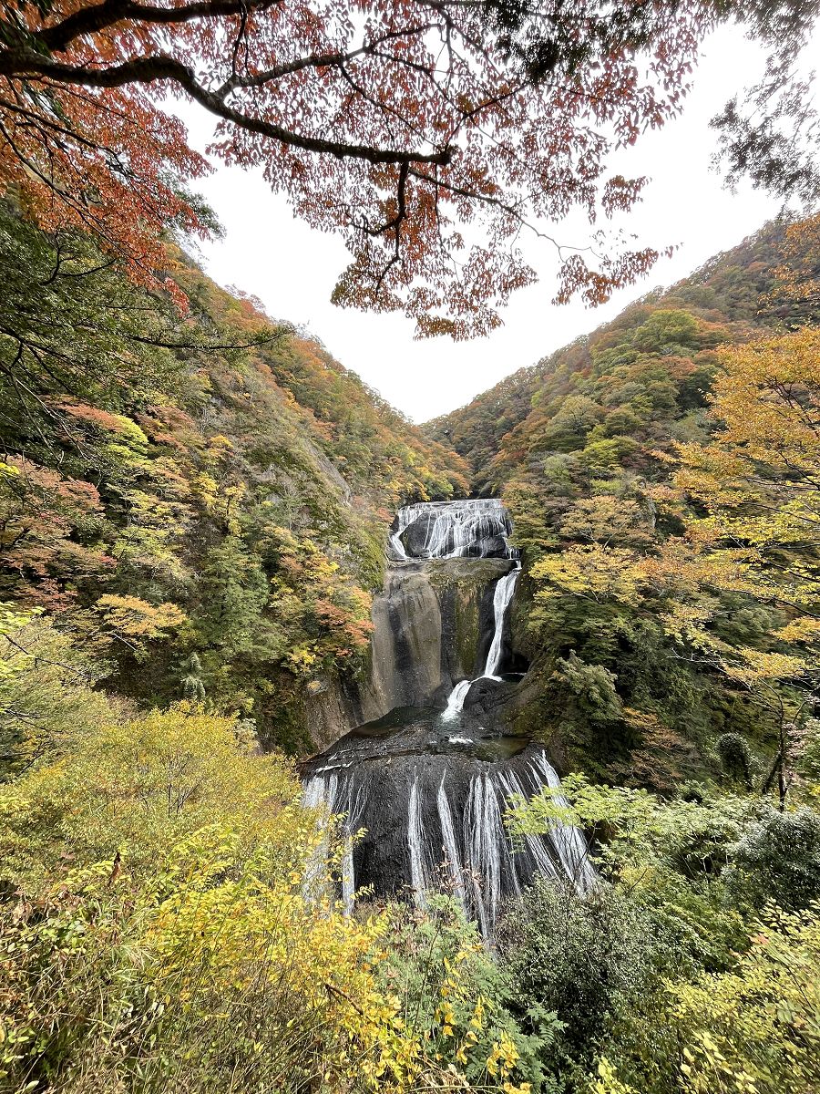 日本追楓趣（8）袋田瀑布