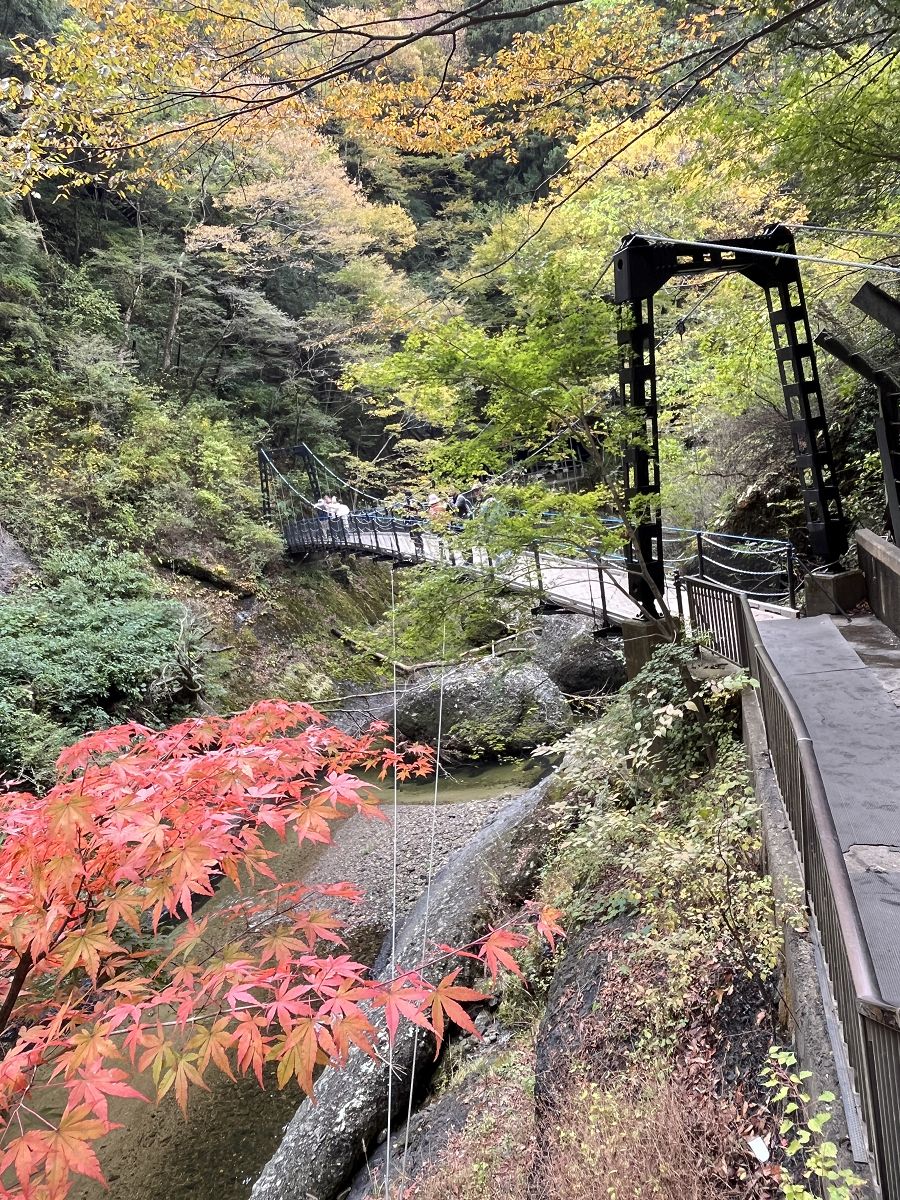 日本追楓趣（8）袋田瀑布