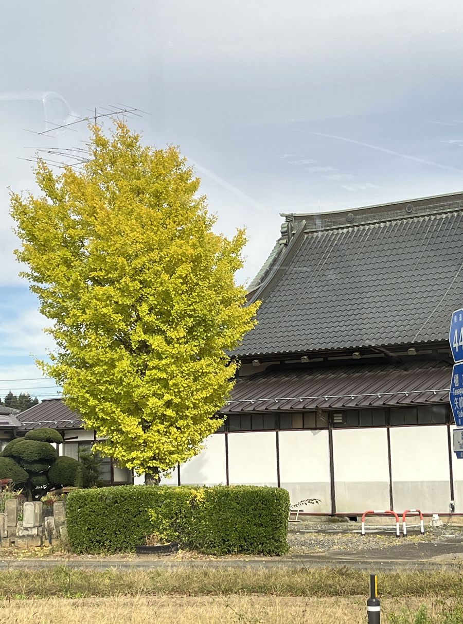 日本追楓趣（10）前往磐梯山國立公園