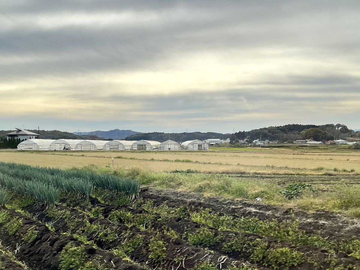 日本追楓趣（10）前往磐梯山國立公園