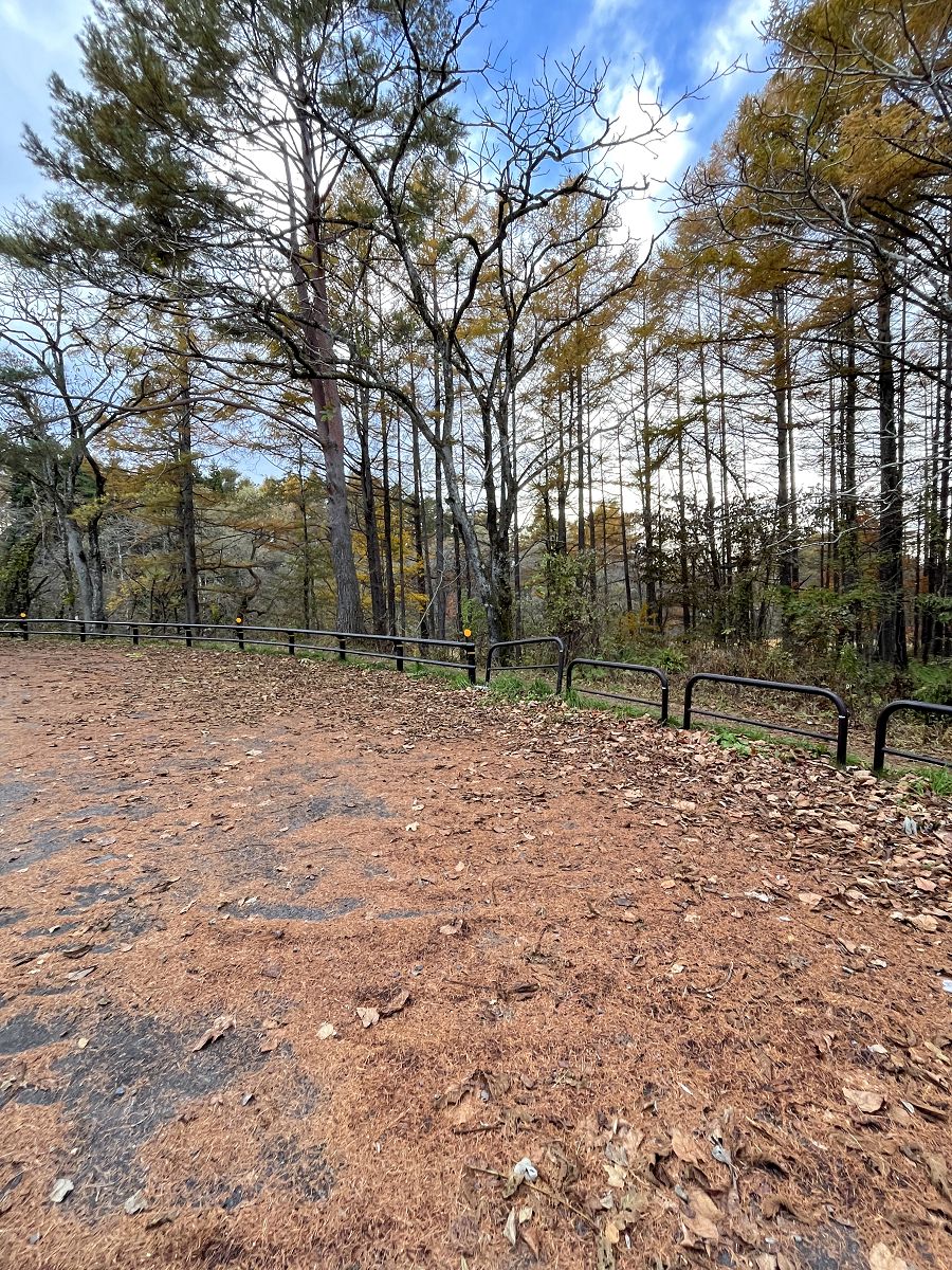 日本追楓趣（11）五色沼