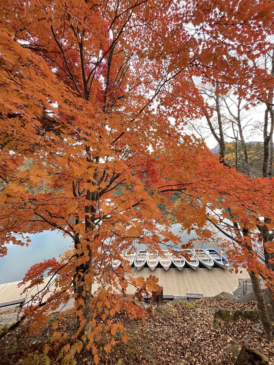 日本追楓趣（11）五色沼