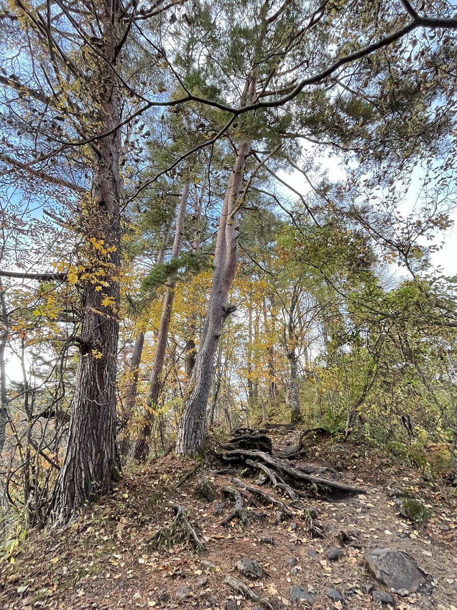 日本追楓趣（11）五色沼