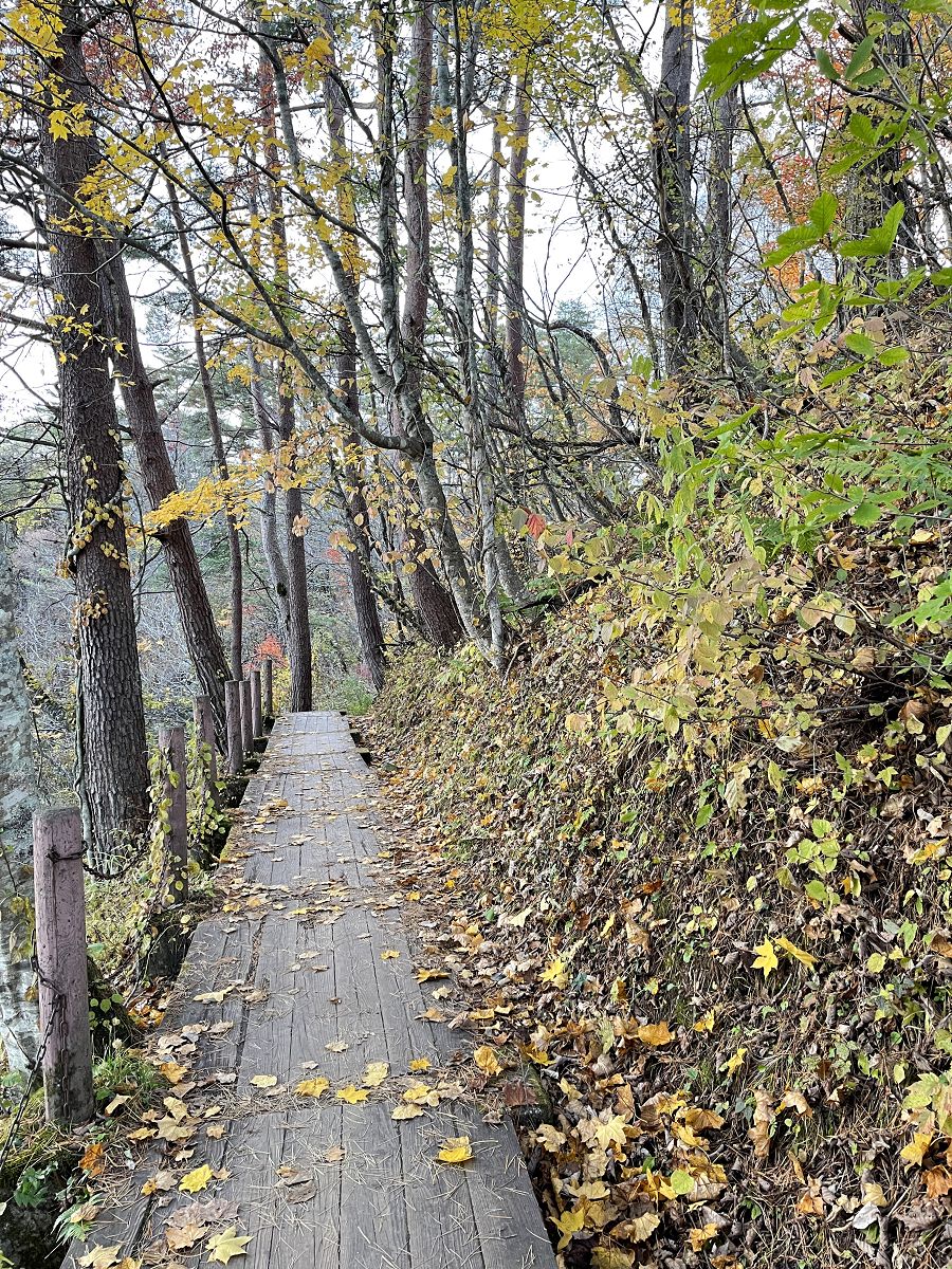 日本追楓趣（11）五色沼