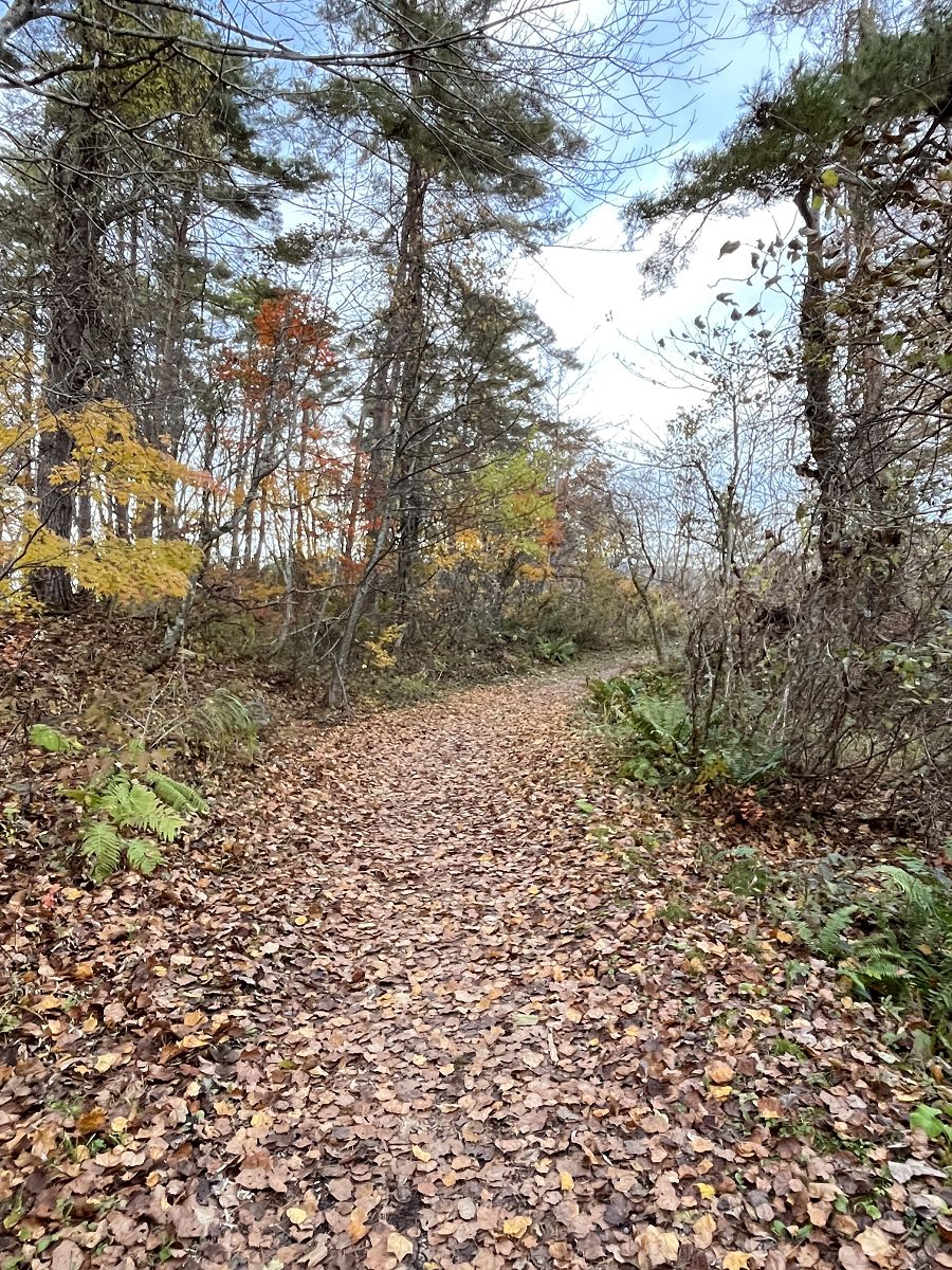 日本追楓趣（11）五色沼