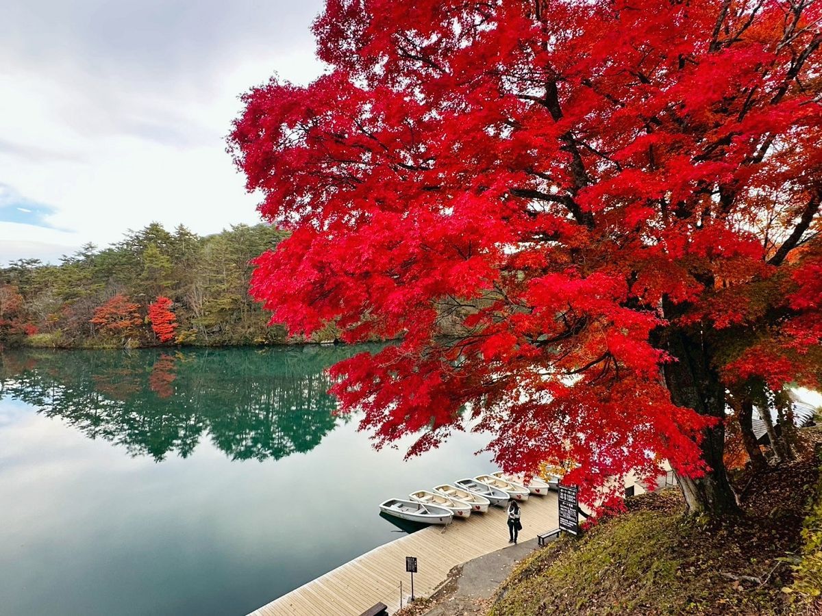 日本追楓趣（11）五色沼