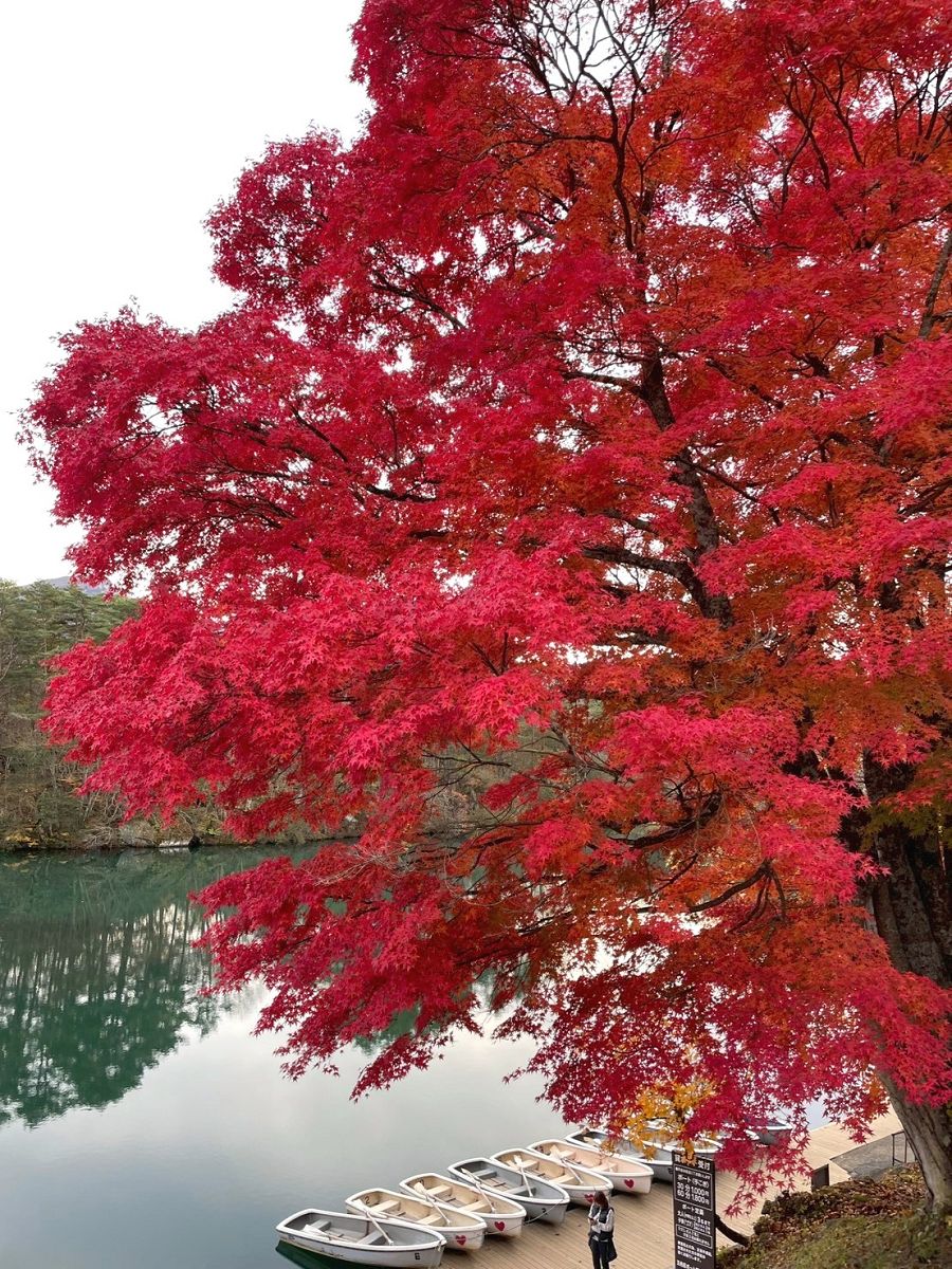 日本追楓趣（11）五色沼