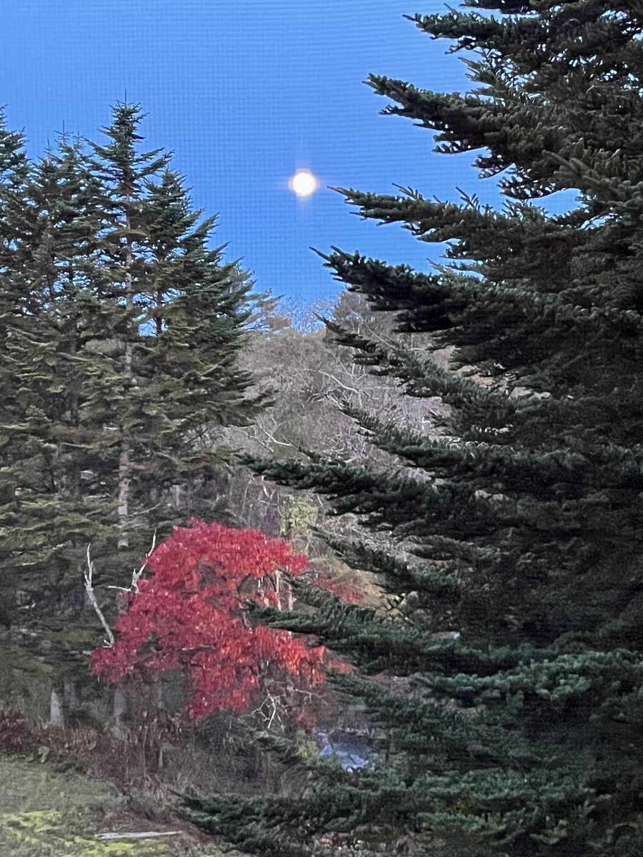 日本追楓趣（12）磐梯 MERCURE RESORT HOTEL