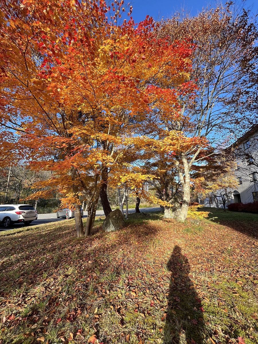 日本追楓趣（12）磐梯 MERCURE RESORT HOTEL
