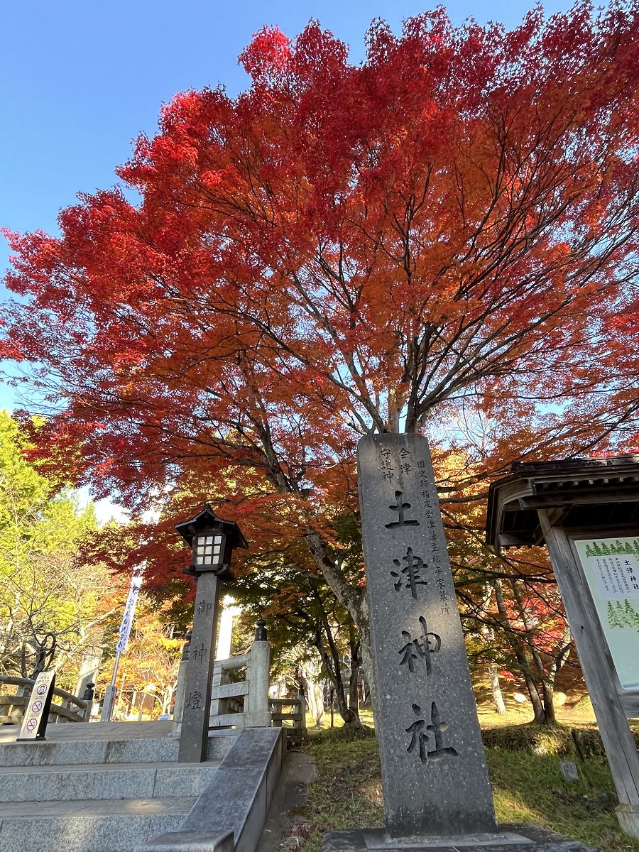 日本追楓趣（13）土津神社