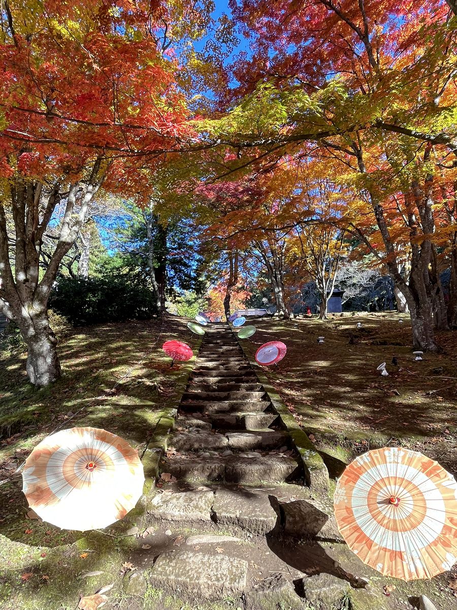 日本追楓趣（13）土津神社