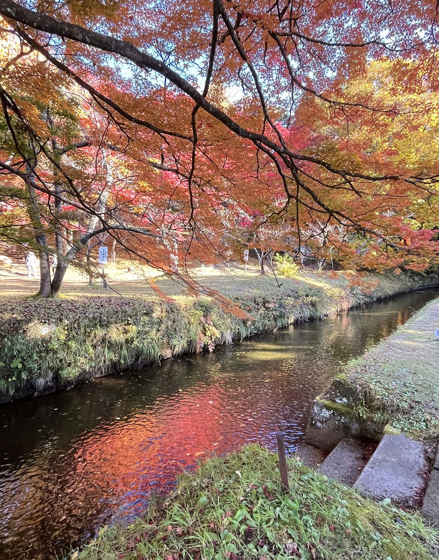 日本追楓趣（13）土津神社