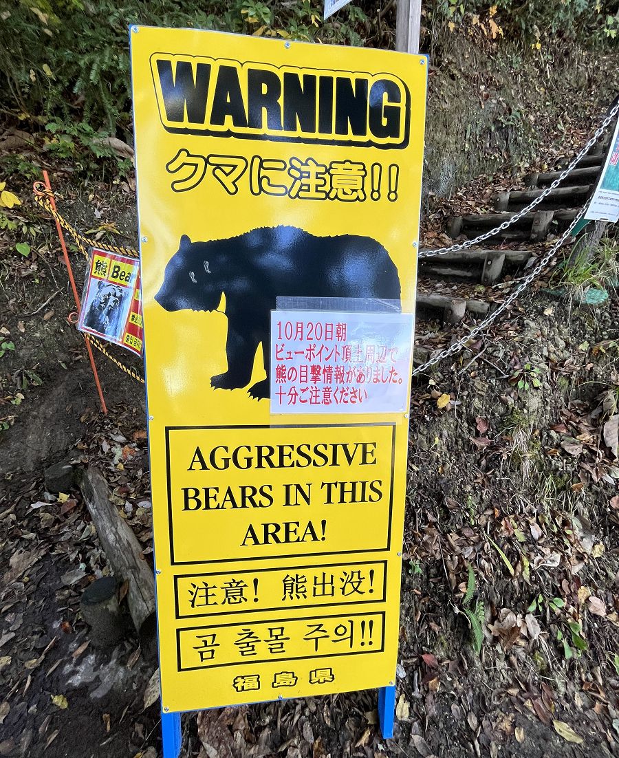 日本追楓趣（15）只見線秘境