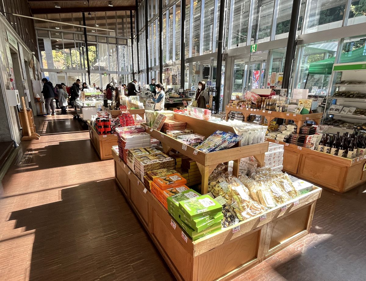 日本追楓趣（15）只見線秘境