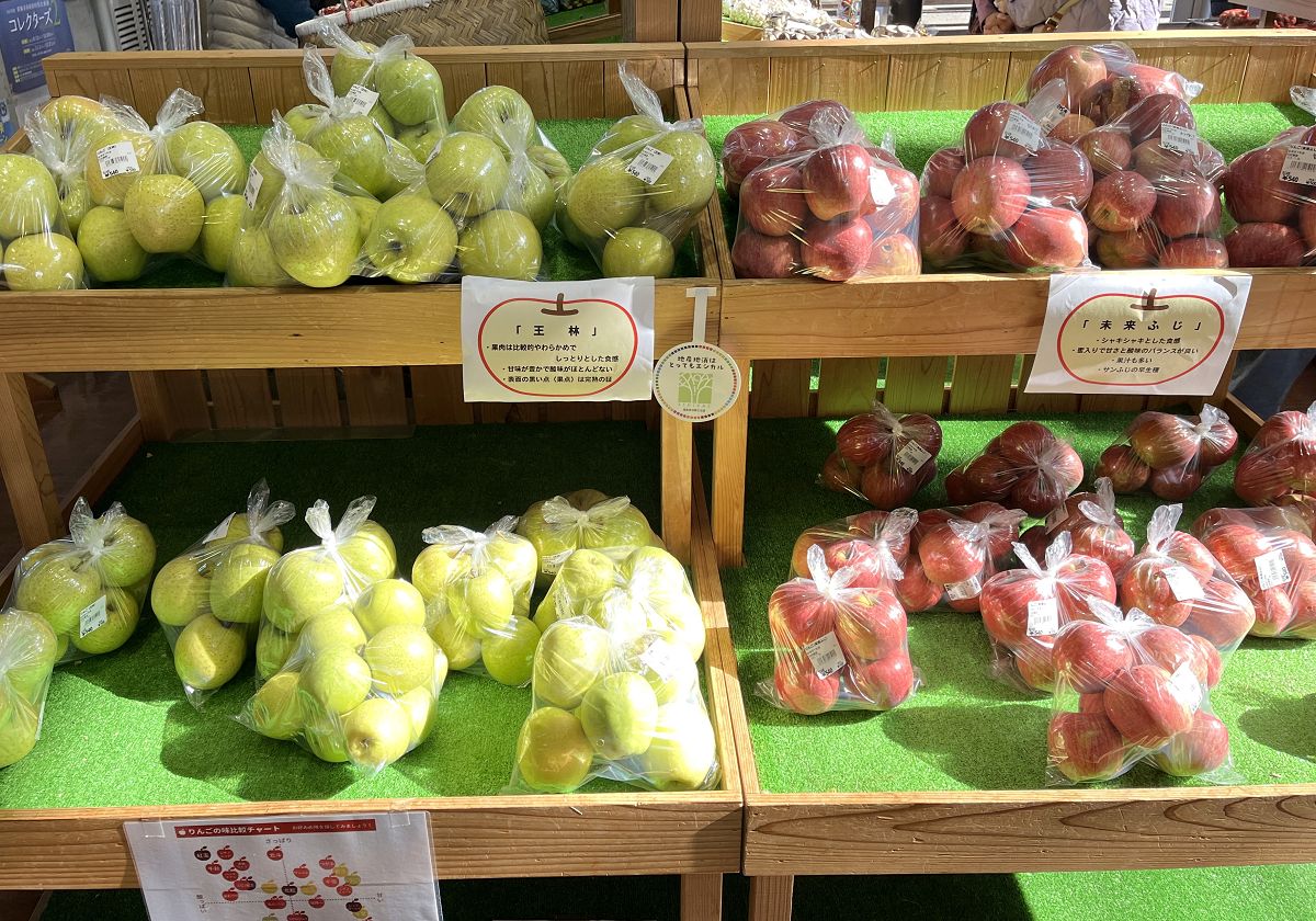 日本追楓趣（15）只見線秘境