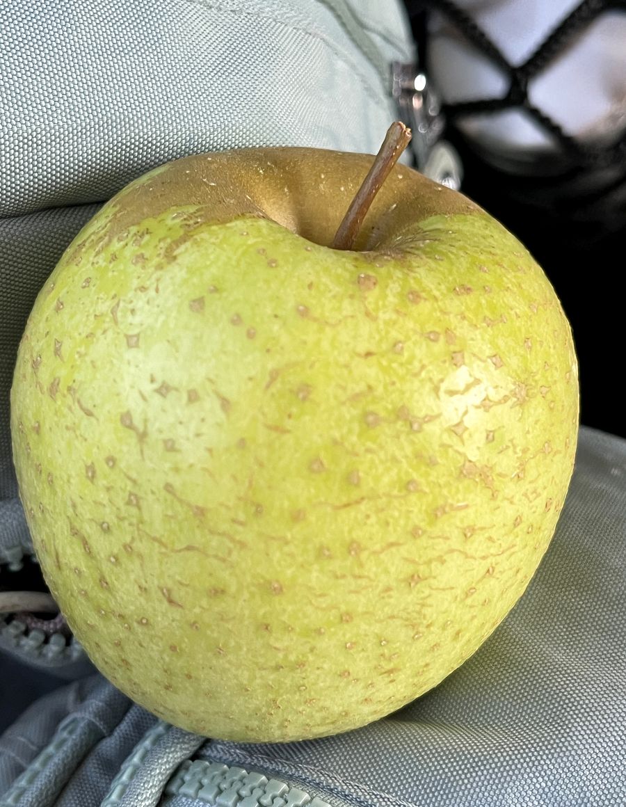 日本追楓趣（15）只見線秘境