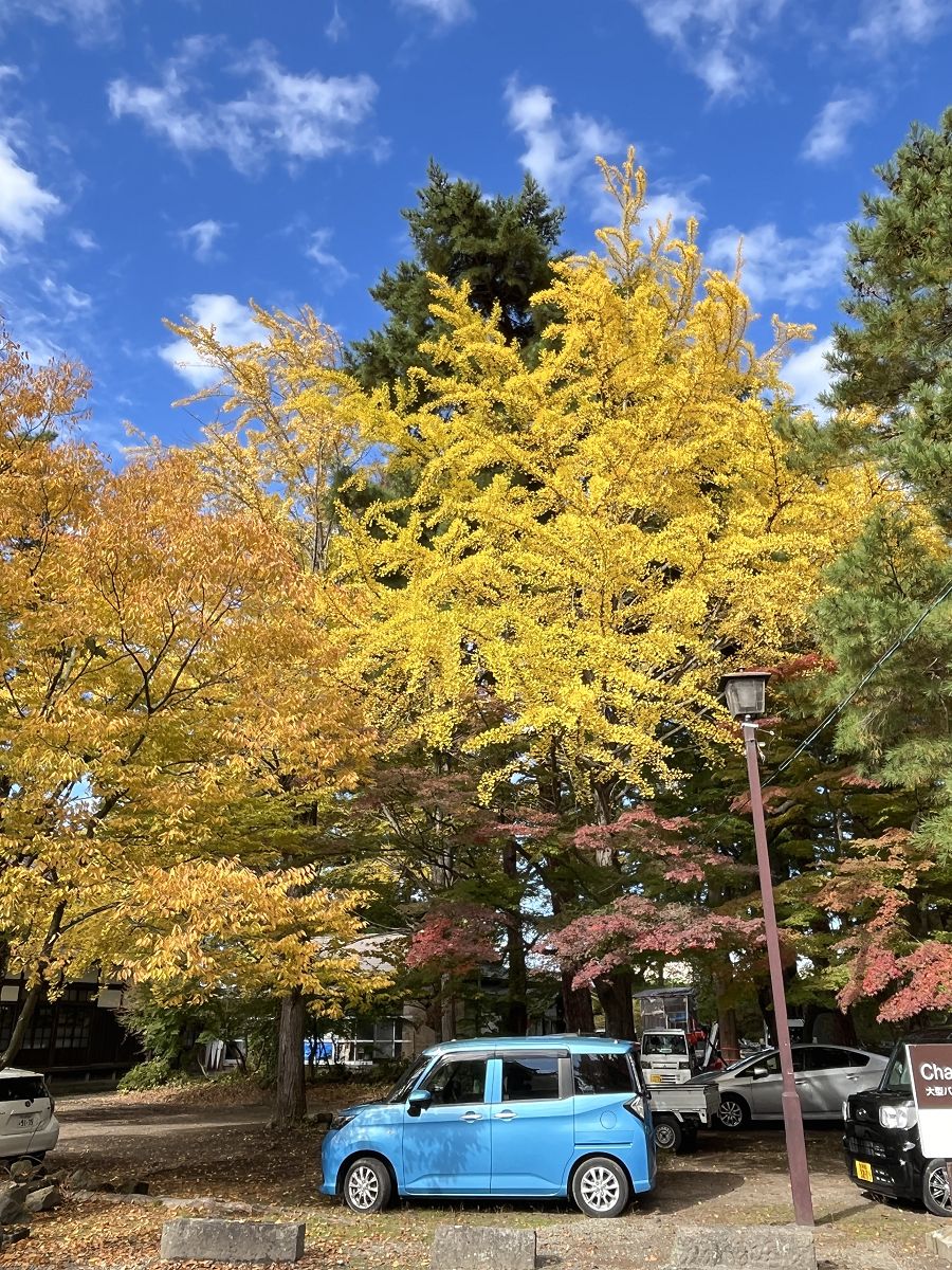 日本追楓趣（17）散策在「會津若松城」