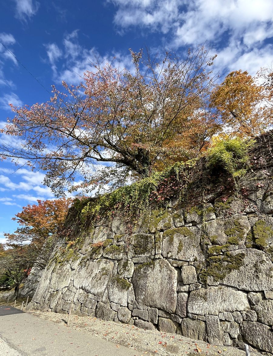 日本追楓趣（17）散策在「會津若松城」