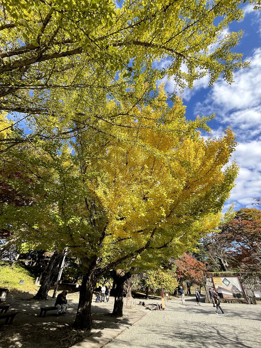 日本追楓趣（17）散策在「會津若松城」