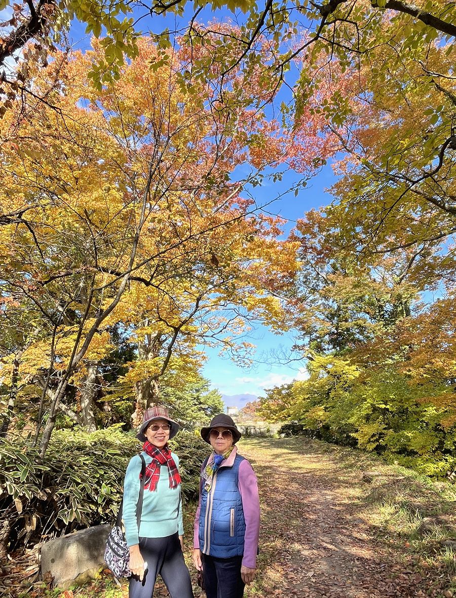 日本追楓趣（17）散策在「會津若松城」