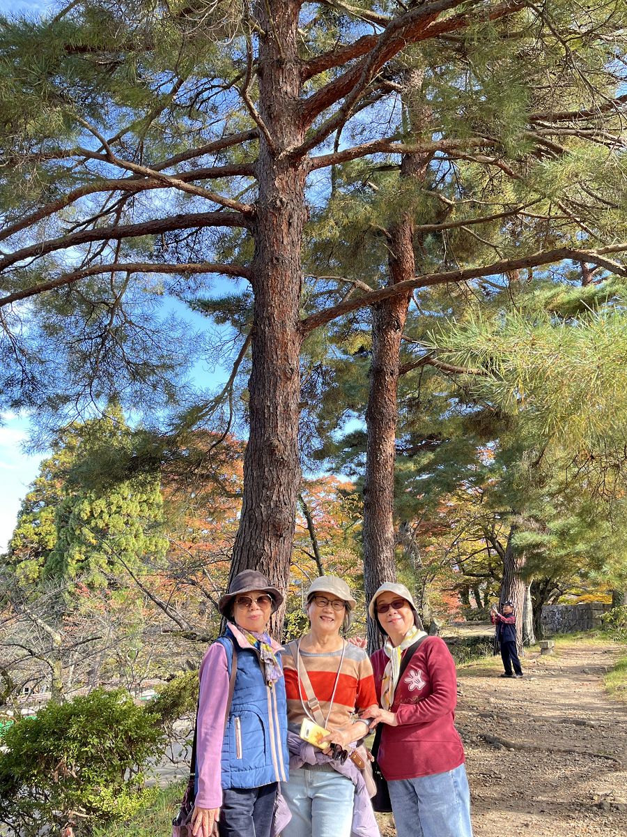 日本追楓趣（17）散策在「會津若松城」