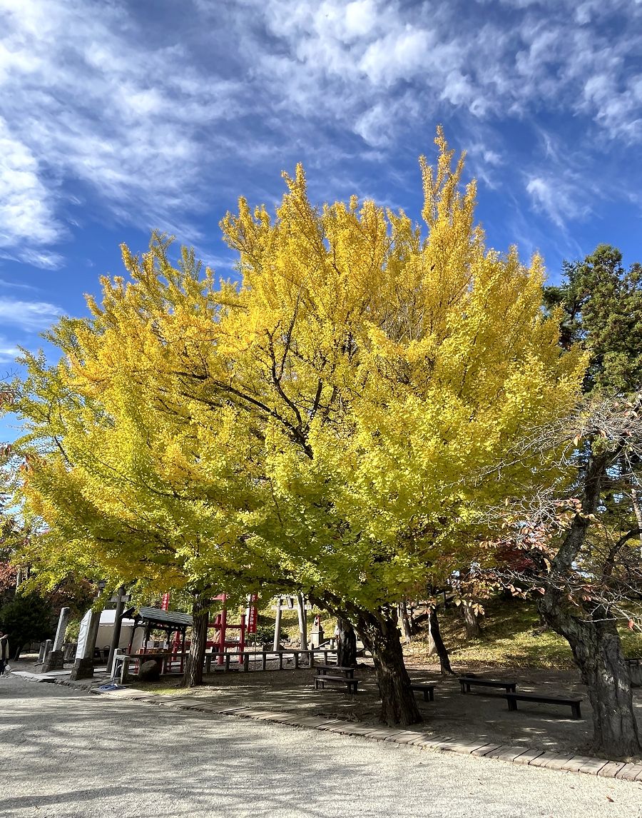 日本追楓趣（17）散策在「會津若松城」