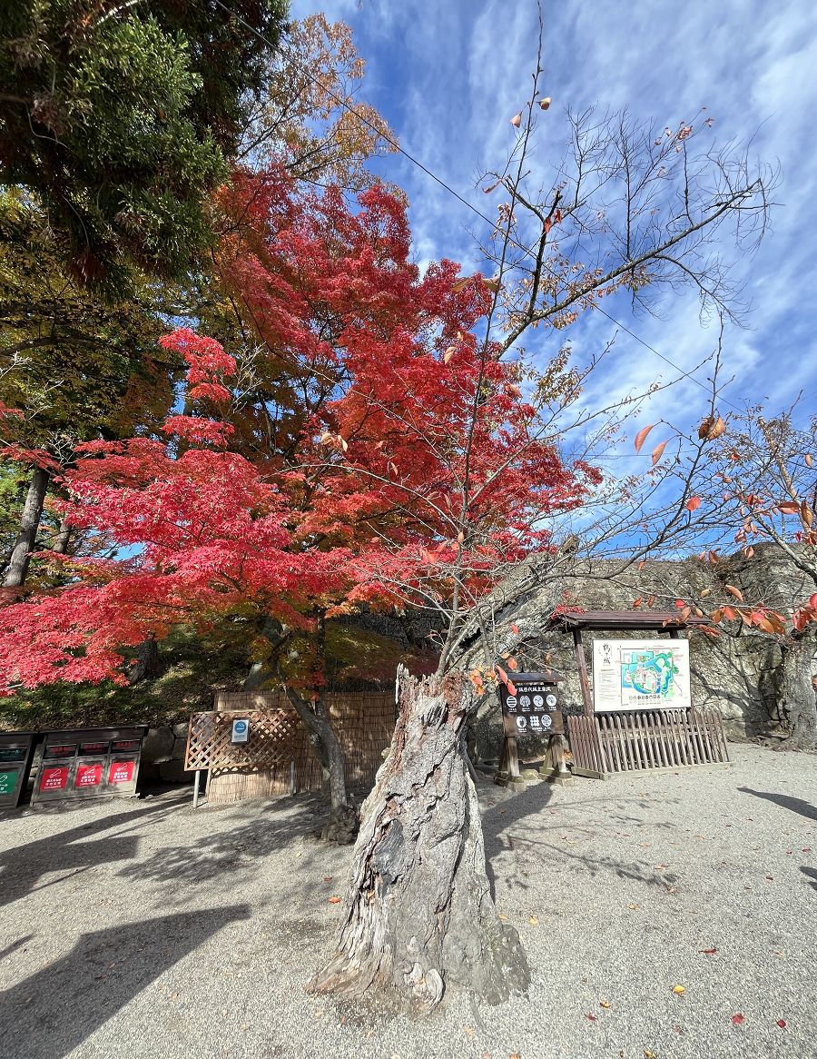 日本追楓趣（17）散策在「會津若松城」