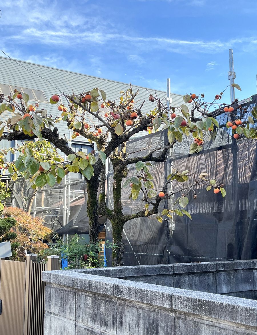 日本追楓趣(7)前往袋田瀑布 - 第14張圖 日本追楓趣(7)前往袋田瀑布