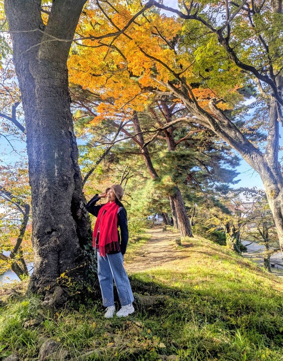 日本追楓趣（17）散策在「會津若松城」