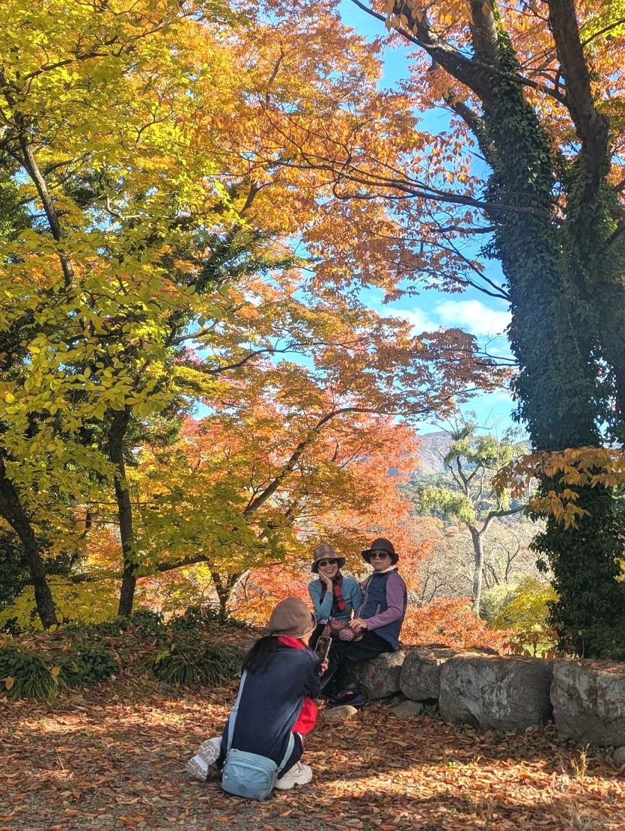 日本追楓趣（17）散策在「會津若松城」