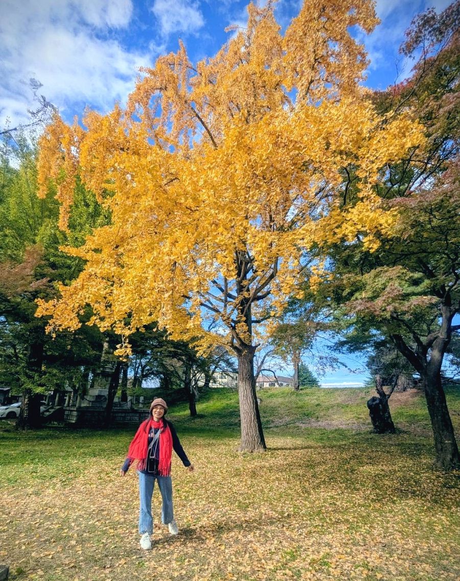 日本追楓趣（17）散策在「會津若松城」