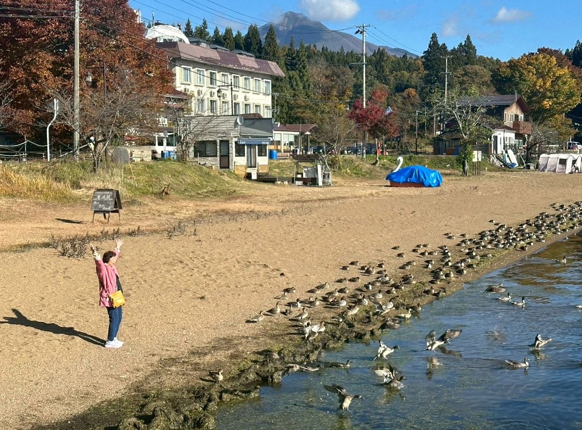 日本追楓趣（14）豬苗代湖